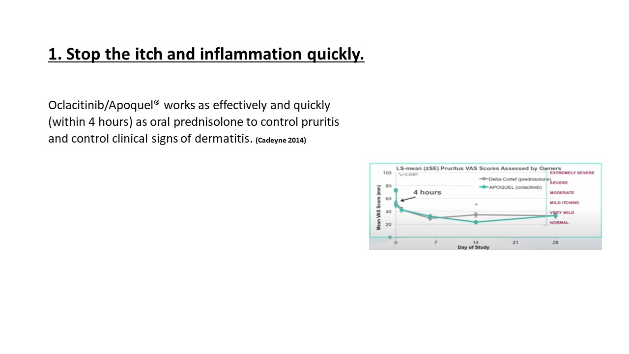 Pruritic_Dog_Webinar_Slide_15.jpg
